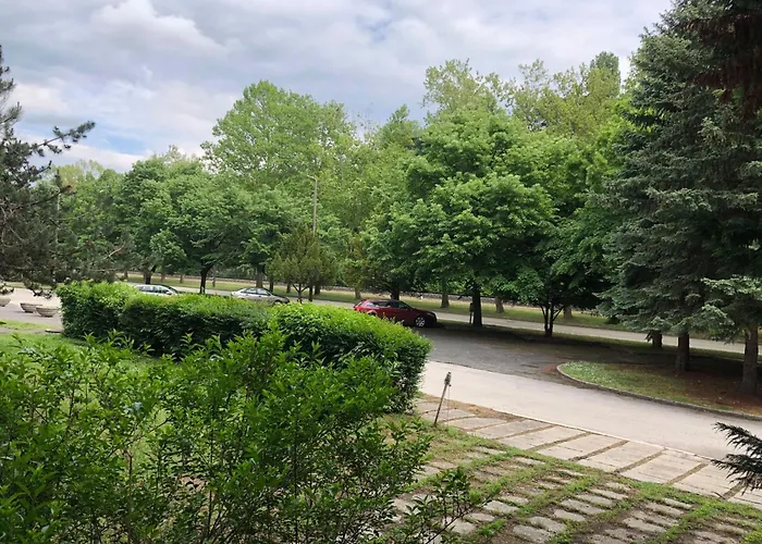 Silver * Balatonfoldvar